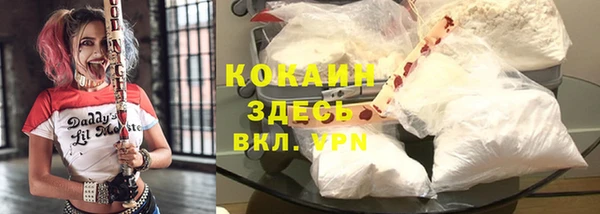 apvp Козельск