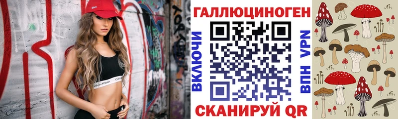 Купить закладки  Богородск  Псилоцибиновые грибы MAGIC MUSHROOMS 